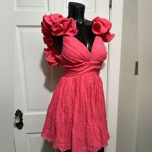 NEW Pink Impressions Adjustable Dress Curly Sleeves Size Small